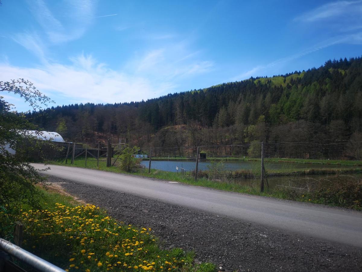 Ferienhaus Salmtal Himmerod Großlittgen Exterior foto