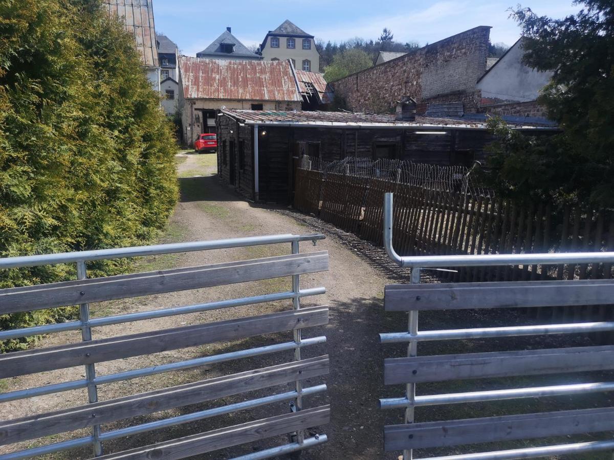 Ferienhaus Salmtal Himmerod Großlittgen Exterior foto