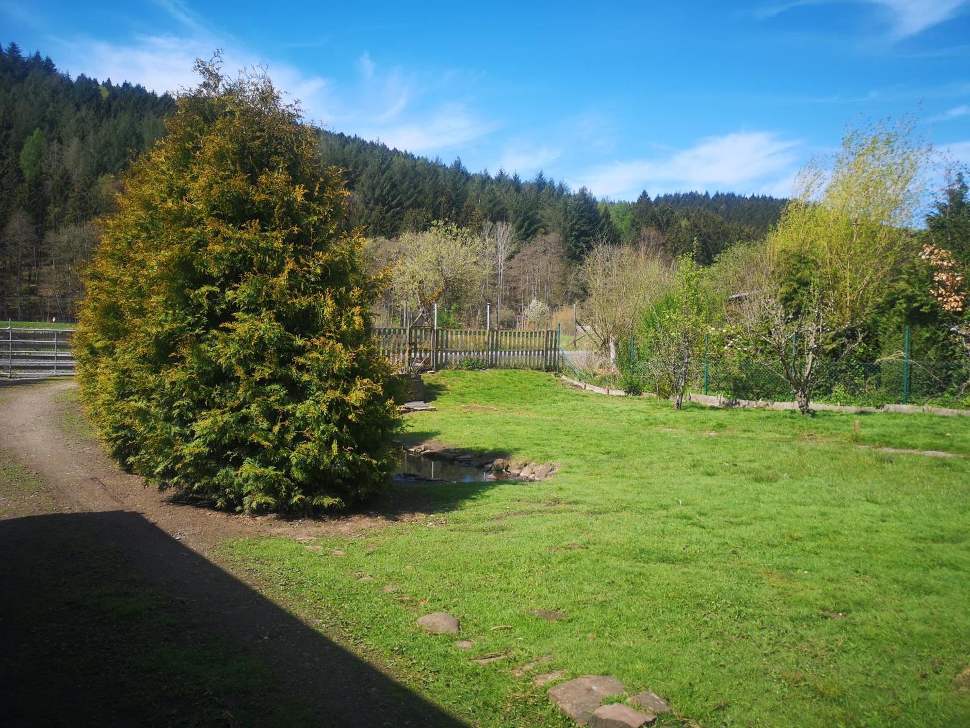 Ferienhaus Salmtal Himmerod Großlittgen Exterior foto
